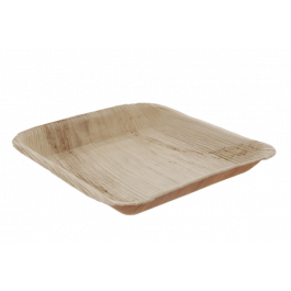 Teller Palmblatt 24x2,5x24 cm (100 Stück) [TK-9987151]