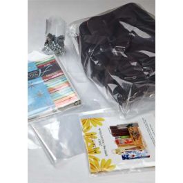 Polybeutel 10,2x10,2cm LDPE 50 Mikron (100 Stück) [PE244]