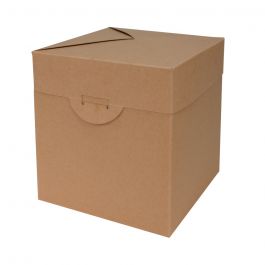 Pop-up-Boxen 15x15x16cm Braun (100 Stück) [FP-POP002]