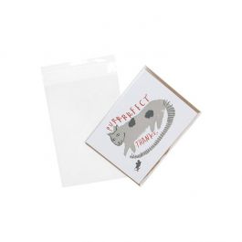 Klappenbeutel 12.5x18cm Hochtransparent (100 Stück) [B47]
