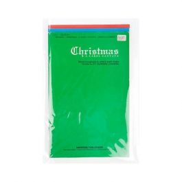 Flachbeutel 21.4x31.1cm OPP Transparent (100 Stück) [B812NF]