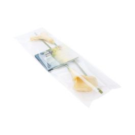 Klappenbeutel 21.4x69.2cm Hochtransparent (100 Stück) [B827]