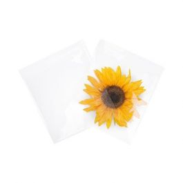 Flachbeutel 21.4x21cm OPP Transparent (100 Stück) [B8X8NF]