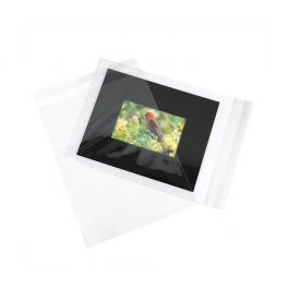 Klappenbeutel 24x31.2cm Hochtransparent (100 Stück) [B9]