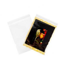 Klappenbeutel 22.7x28.6cm Hochtransparent (250 Stück) [VL811]