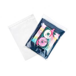 Druckverschlussbeutel mit Euroloch 25.5x33cm Transparent PP 50 Mikron (100 Stück) [ZR1013]