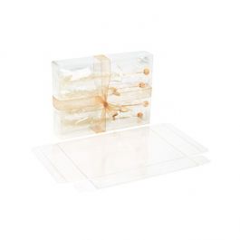 Klarsichtschachteln 12.4x3.2x16.8cm Transparent (25 Stück) [FB29]