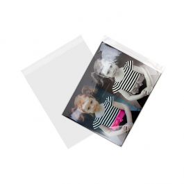 Umweltfreundliche Klappenbeutel Bioplastik 42x51.5cm Transparent (100 Stück) [GC16]