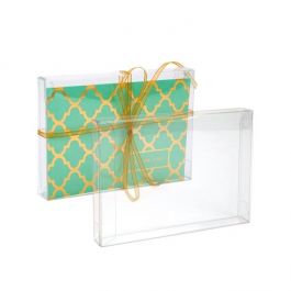Klarsichtschachteln 9.5x1.6x13.2cm Transparent (25 Stück) [FPB118]