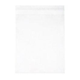 Umweltfreundliche Beutel 11.7x14.6cm Transparent - Premium (100 Stück) [GC54]