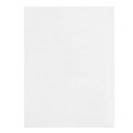 Umweltfreundliche Beutel 12.5x16.5cm Transparent (100 Stück) [GC65NF]