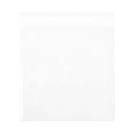 Umweltfreundliche Beutel 15.9x15.9cm Transparent - Premium (100 Stück) [GC66]