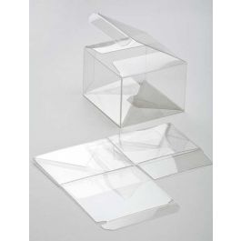 Klarsichtschachteln 8.9x8.3x6cm mit Automatikboden (25 Stück) [PLB115]