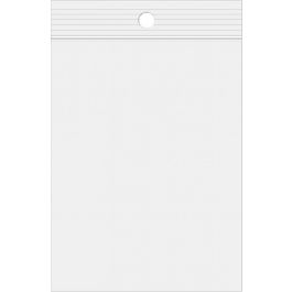 Druckverschlussbeutel mit Aufhängeloch 10x25.5cm Transparent PP 50 Mikron (100 Stück) [ZR410]