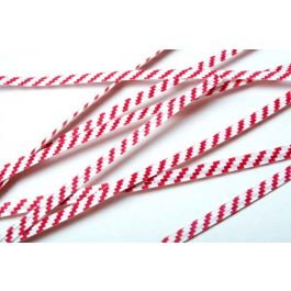Verschluss-Streifen 10.2x0.4cm Papier Weiß/Rot gestreift (1,000 Stück) [TT4WRS]