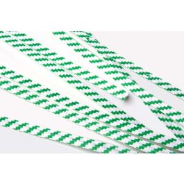 Verschluss-Streifen 10.2x0.4cm Papier Weiß/Grün gestreift (1,000 Stück) [TT4WGS]
