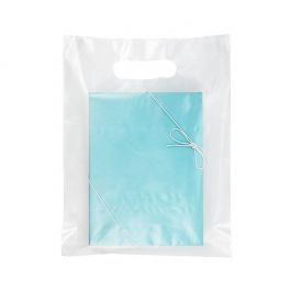Tragetaschen Gefrostet - 20% Recyceltes PE 22.9x30.5cm (100 Stück) [H912FT1R]
