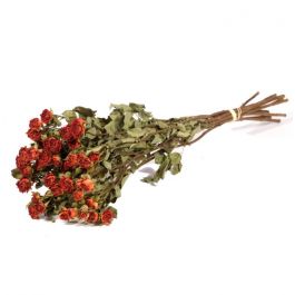 Trockenblumen Roses spray Natürliches Orange (1 Bündel) [RU-01598.000.9]