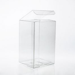 Klarsichtschachteln 7.6x7.6x12.7cm Transparent (50 Stück) [VB299]