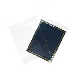 Druckverschlussbeutel mit Euroloch 25.5x33cm Transparent PP 50 Mikron (100 Stück) [ZC1013V]